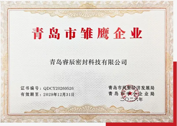 Qingdao Ruichen Sealing Technology Co., Ltd. 2026ko Qingdao 