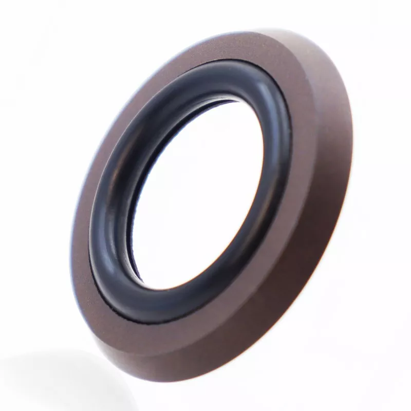 Oin axial motako zigilu konbinatua
