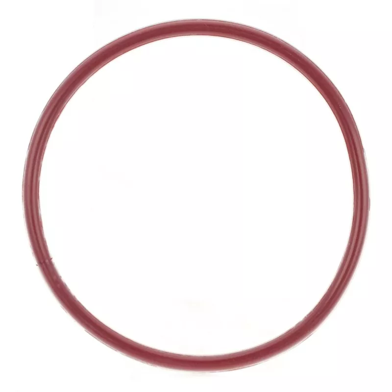 FEP/PFA kapsulatutako O-Ring