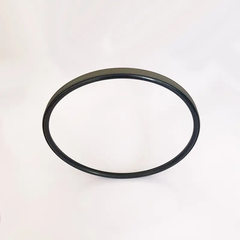 High Pressure Seals For Piston Holes