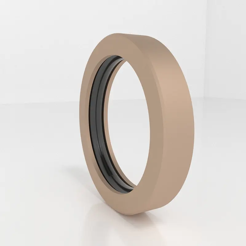 High Pressure Seals For Piston Holes