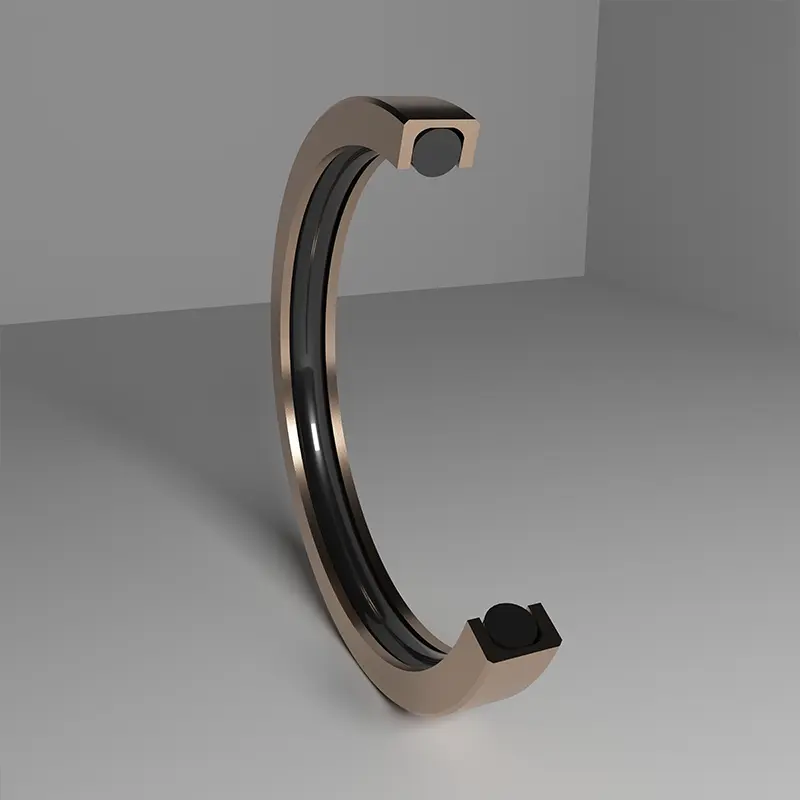 High Pressure Seals For Piston Holes