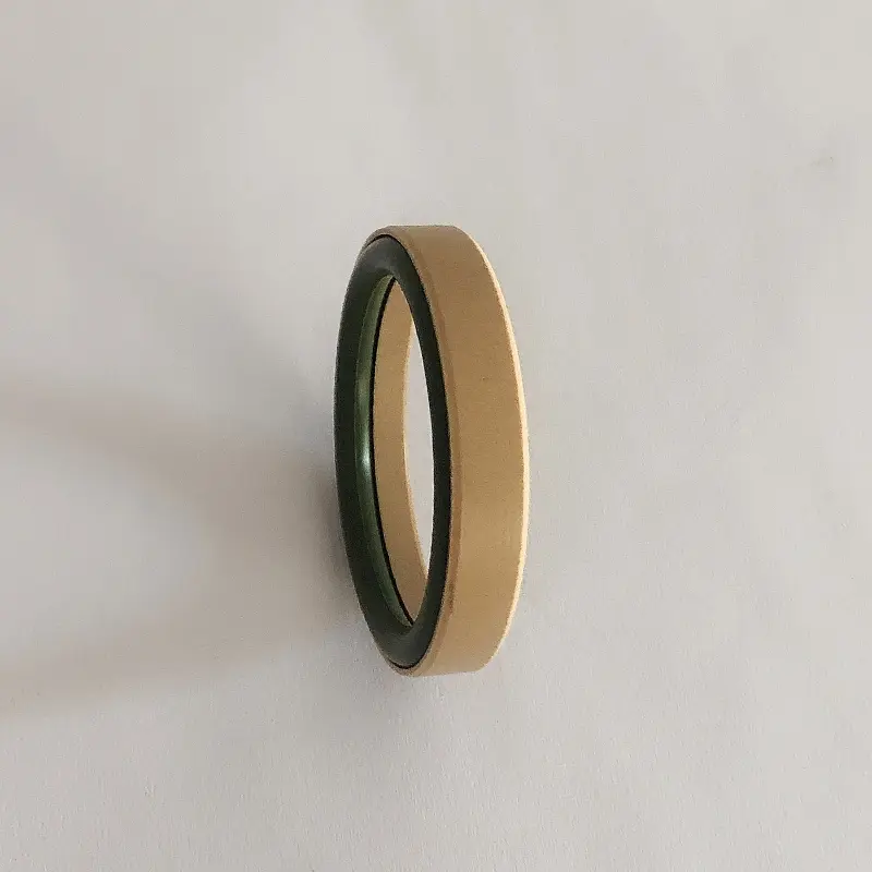 High Pressure Seals For Piston Holes