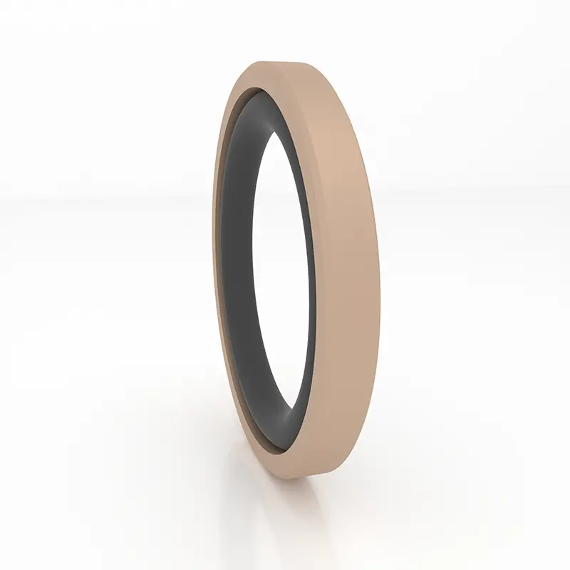 High Pressure Seals For Piston Holes