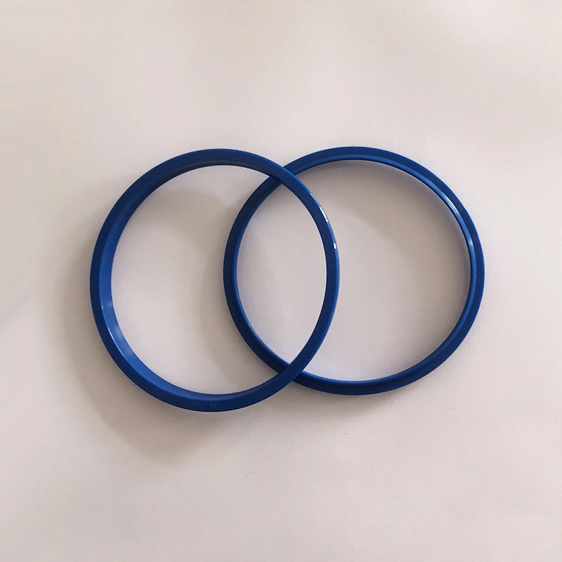 Hydraulic Dust Seals