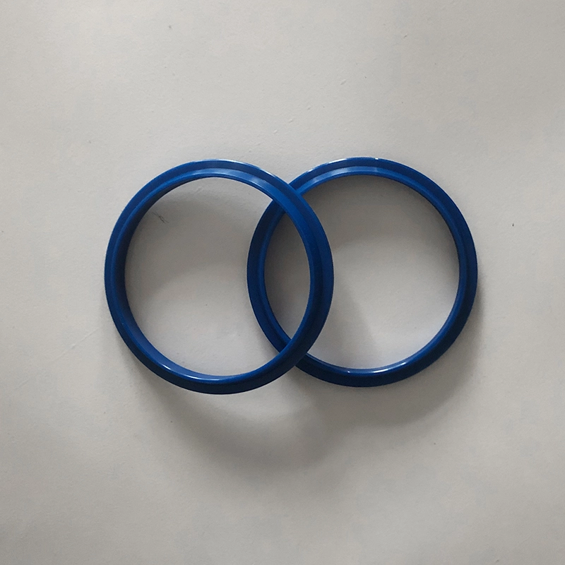 Hydraulic Dust Seals