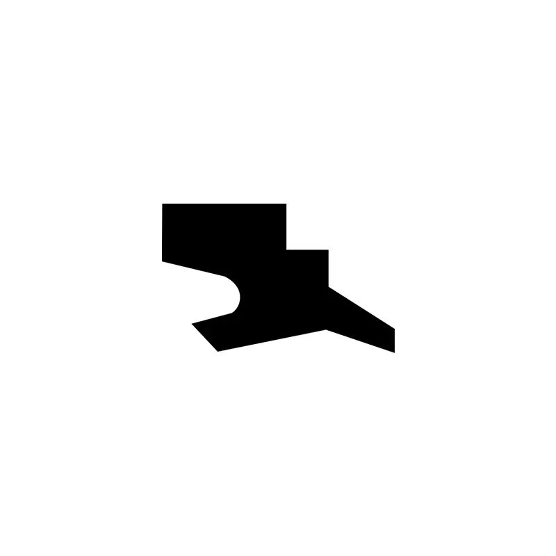 Hydraulic Dust Seals