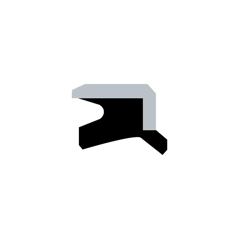 Hydraulic Dust Seals