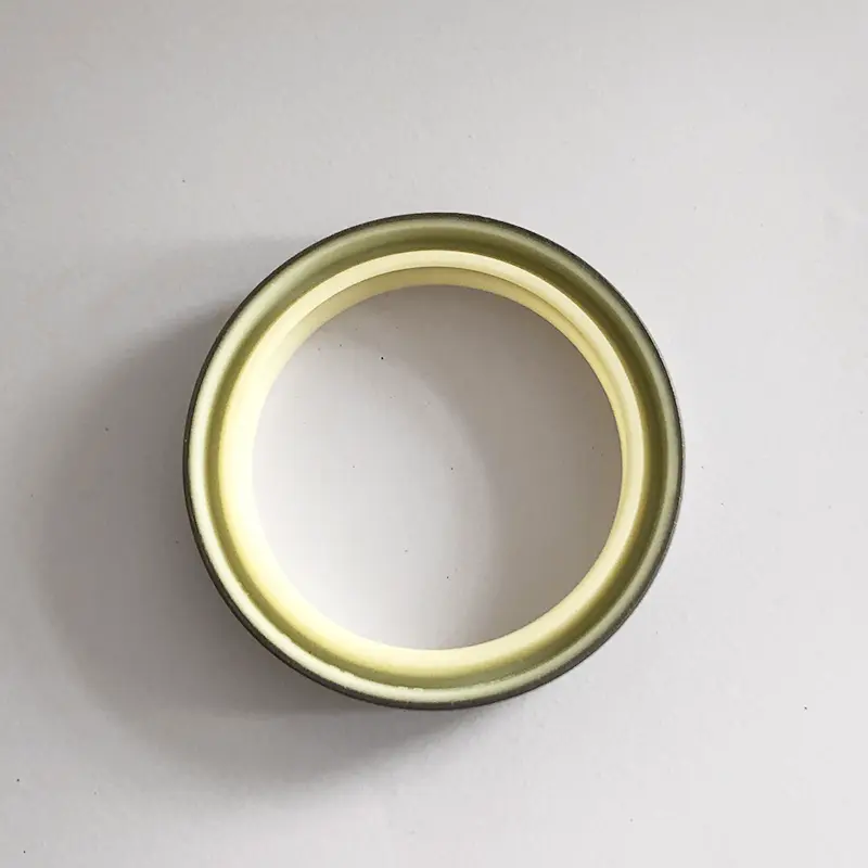 Hydraulic Dust Seals