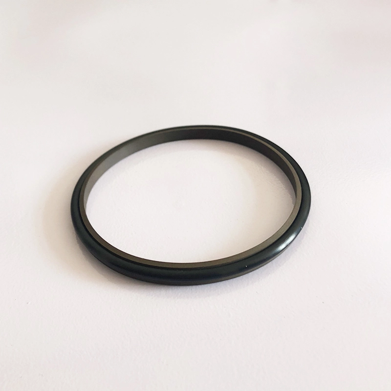 Hydraulic Dust Seals