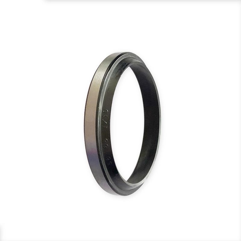 Hydraulic Dust Seals