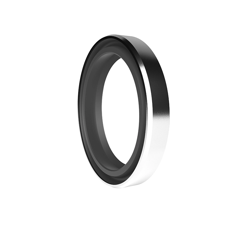 Hydraulic Dust Seals