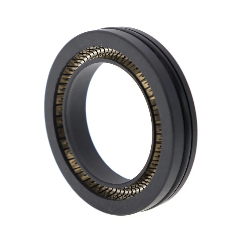 PTFE Spring-Energized Seal birakarientzako